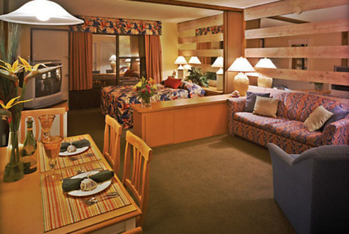 Dolphin Beach Club Daytona Beach Shores Bagian luar foto